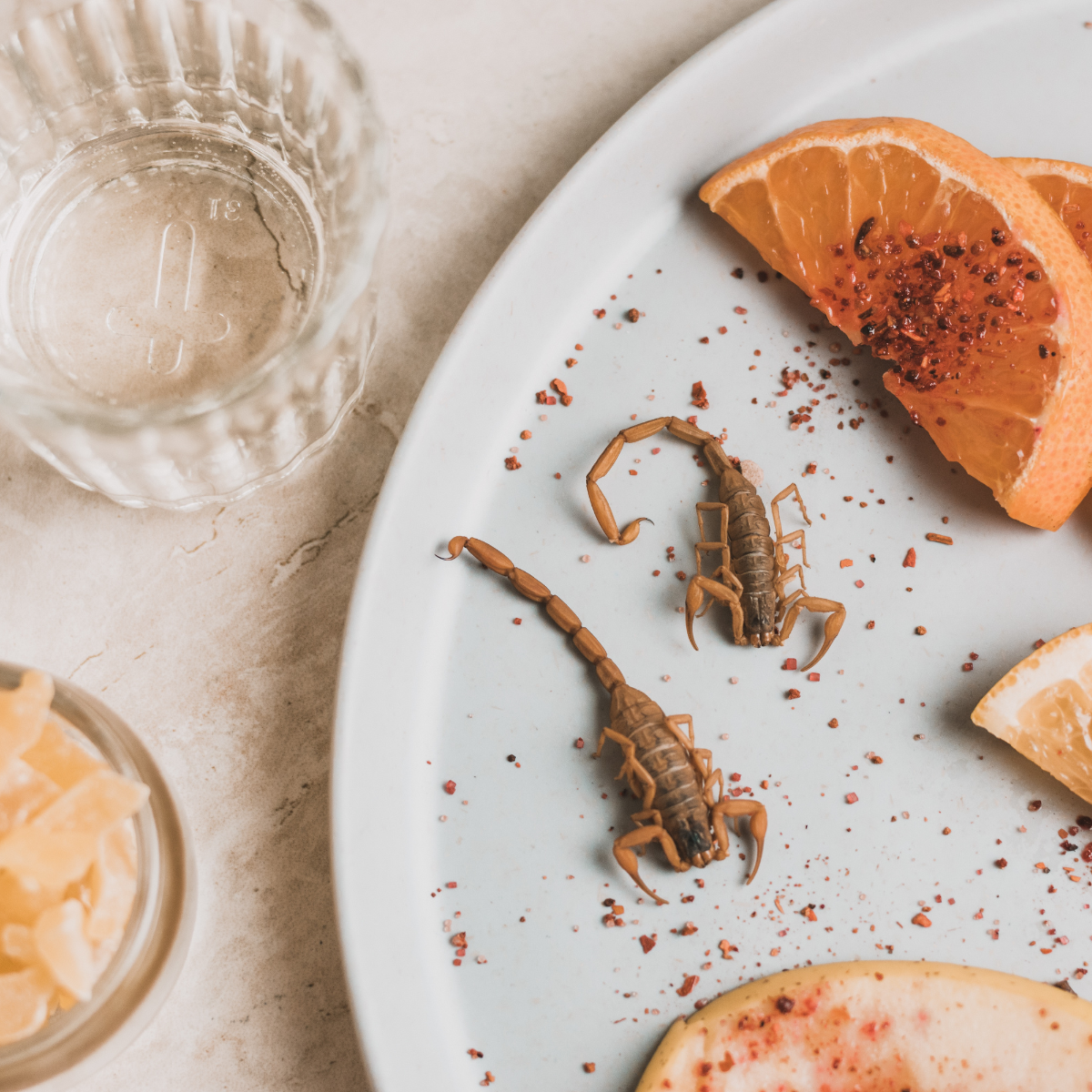 hosting-a-mezcal-tasting